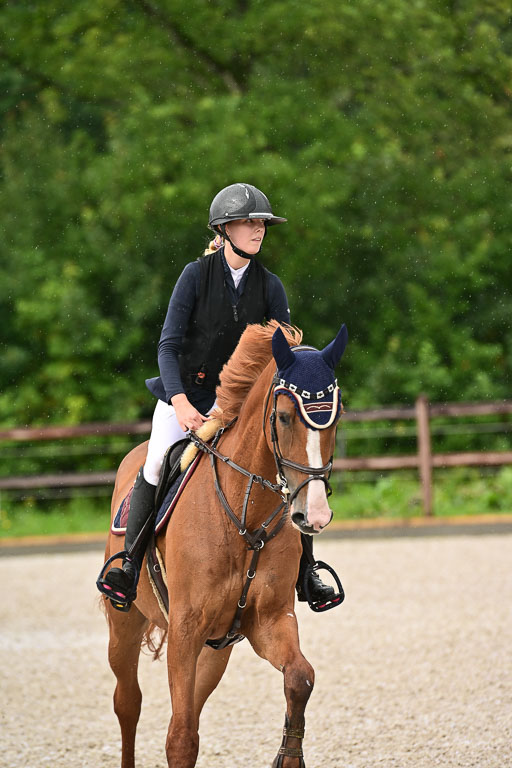 Klein Offenseth  - Hengststation Hell  am 27.07.2025 | 27072025 alle Prüfungen_050 