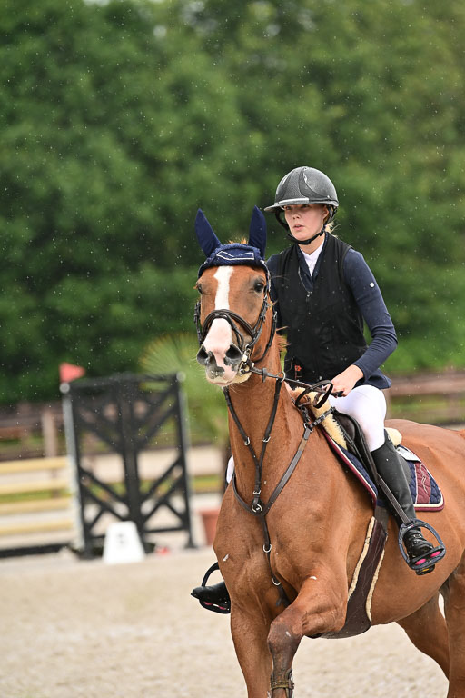 Klein Offenseth  - Hengststation Hell  am 27.07.2025 | 27072025 alle Prüfungen_052 