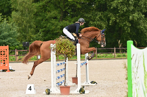 Klein Offenseth  - Hengststation Hell  am 27.07.2025 | 27072025 alle Prüfungen_055 