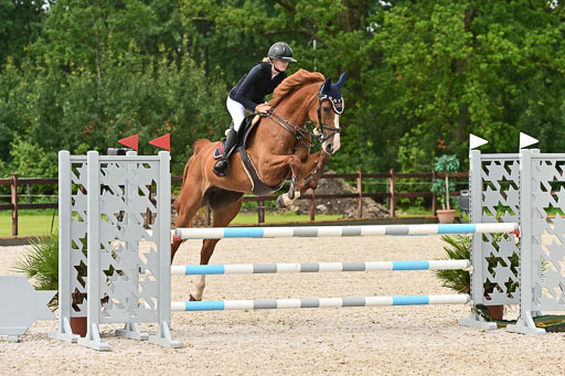 Klein Offenseth  - Hengststation Hell  am 27.07.2025 | 27072025 alle Prüfungen_059 