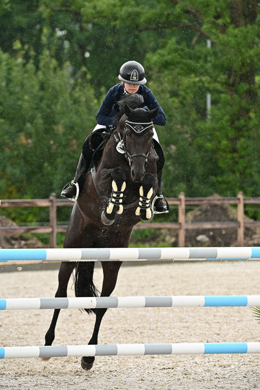 Klein Offenseth  - Hengststation Hell  am 27.07.2025 | 27072025 alle Prüfungen_092 