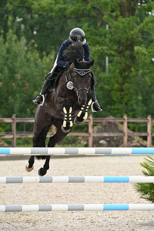 Klein Offenseth  - Hengststation Hell  am 27.07.2025 | 27072025 alle Prüfungen_093 
