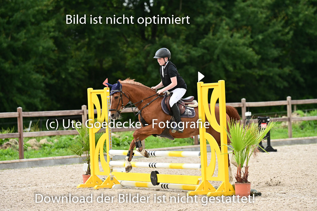 Klein Offenseth  - Hengststation Hell | 26072025 Spring WB 
