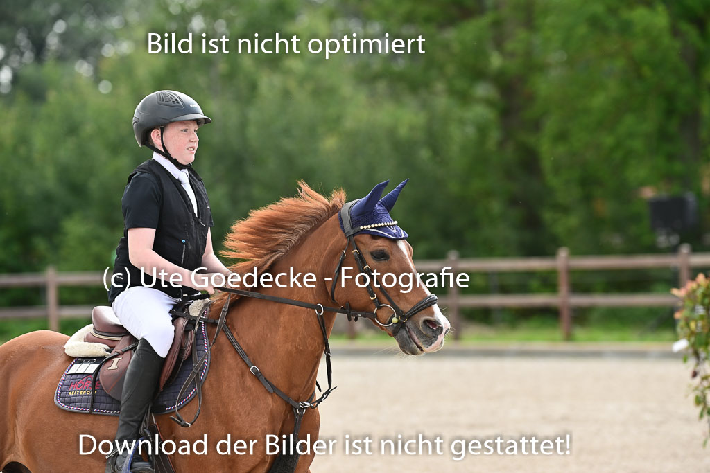Klein Offenseth  - Hengststation Hell | 26072025 Spring WB  _001 