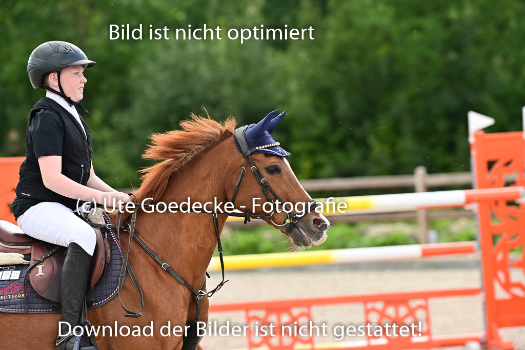 Klein Offenseth  - Hengststation Hell | 26072025 Spring WB  _002 