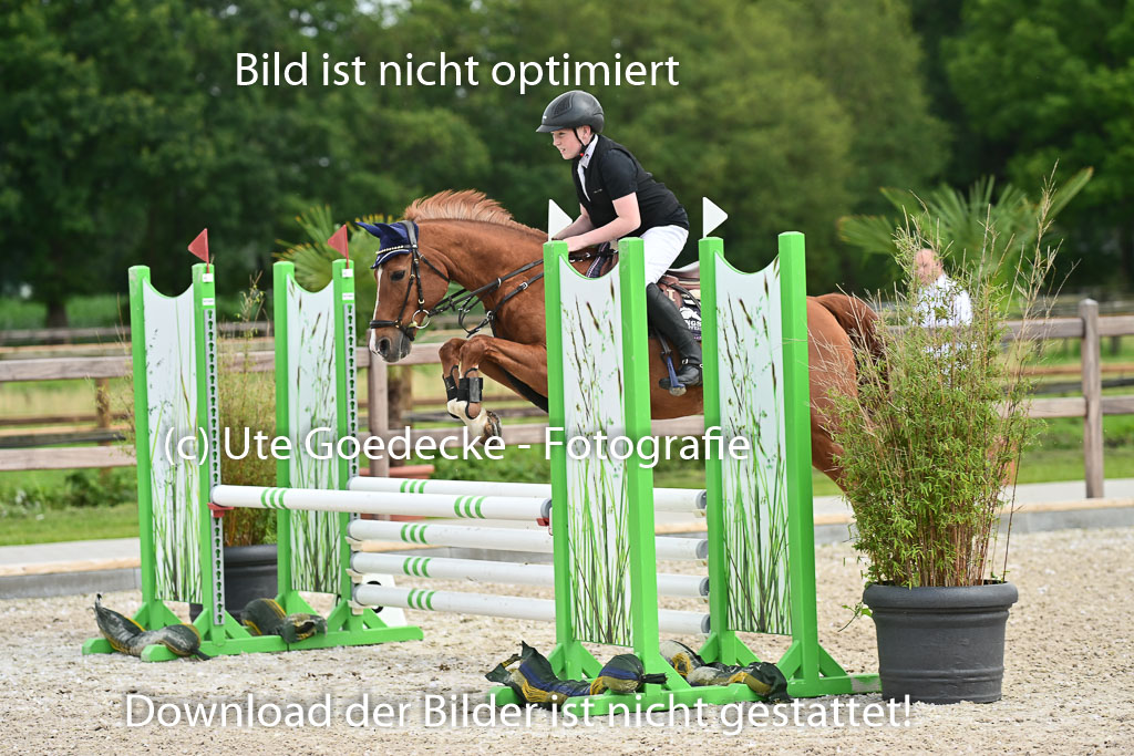 Klein Offenseth  - Hengststation Hell | 26072025 Spring WB  _004 