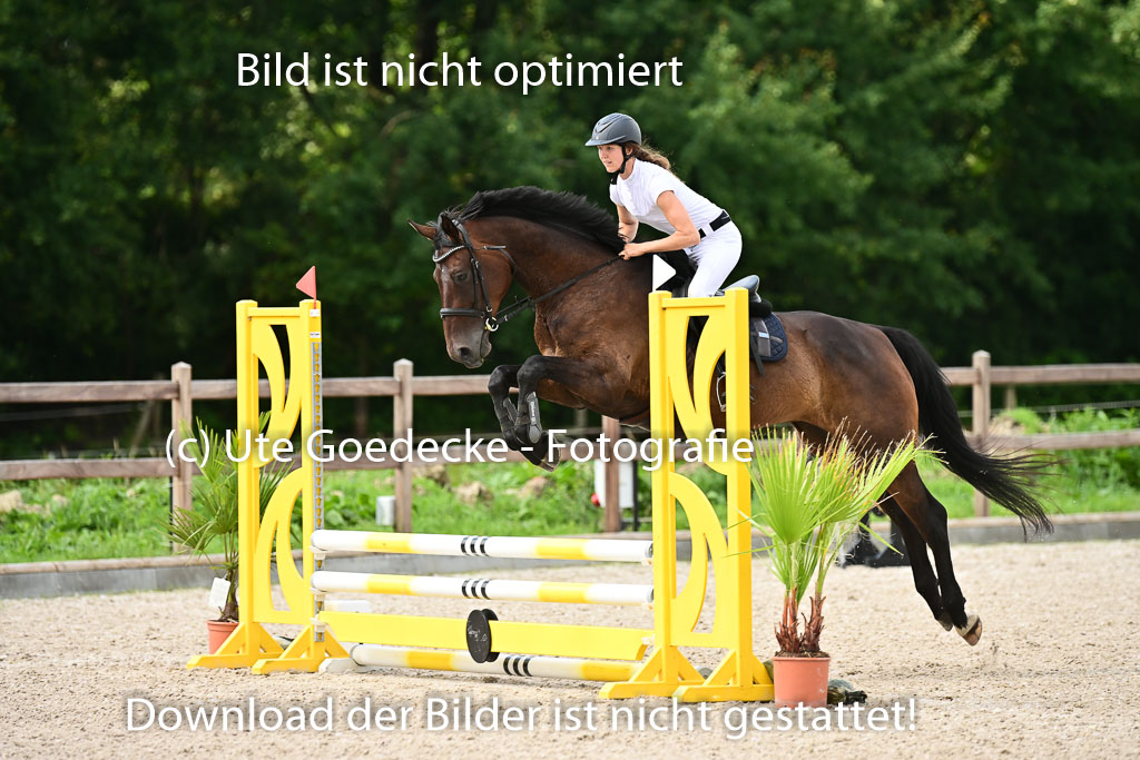 Klein Offenseth - Hengststation Hell | 26072025 Spring WB _006