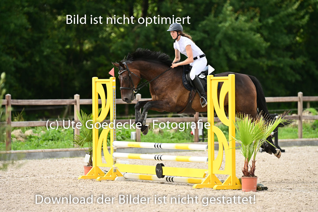 Klein Offenseth  - Hengststation Hell | 26072025 Spring WB  _007 
