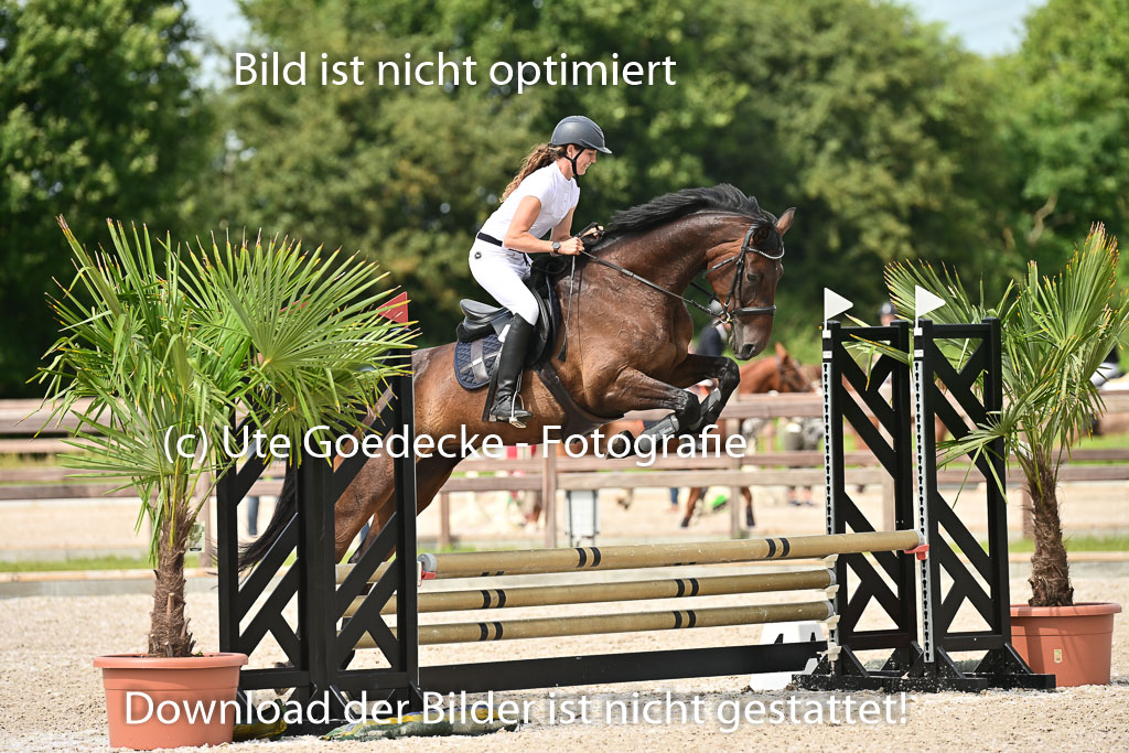 Klein Offenseth  - Hengststation Hell | 26072025 Spring WB  _010 