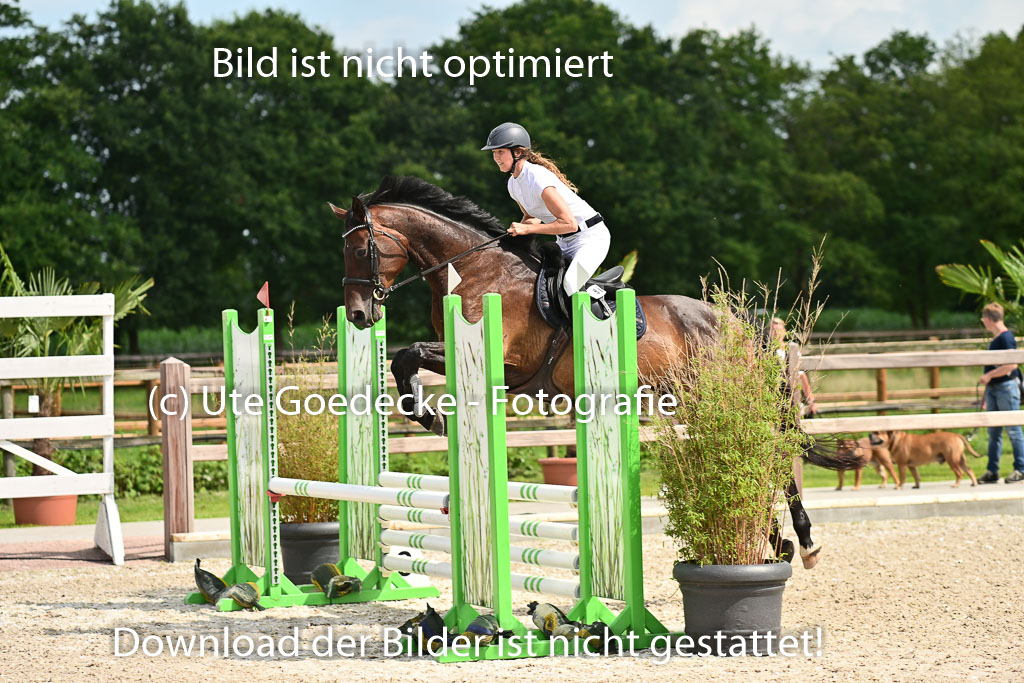 Klein Offenseth  - Hengststation Hell | 26072025 Spring WB  _011 