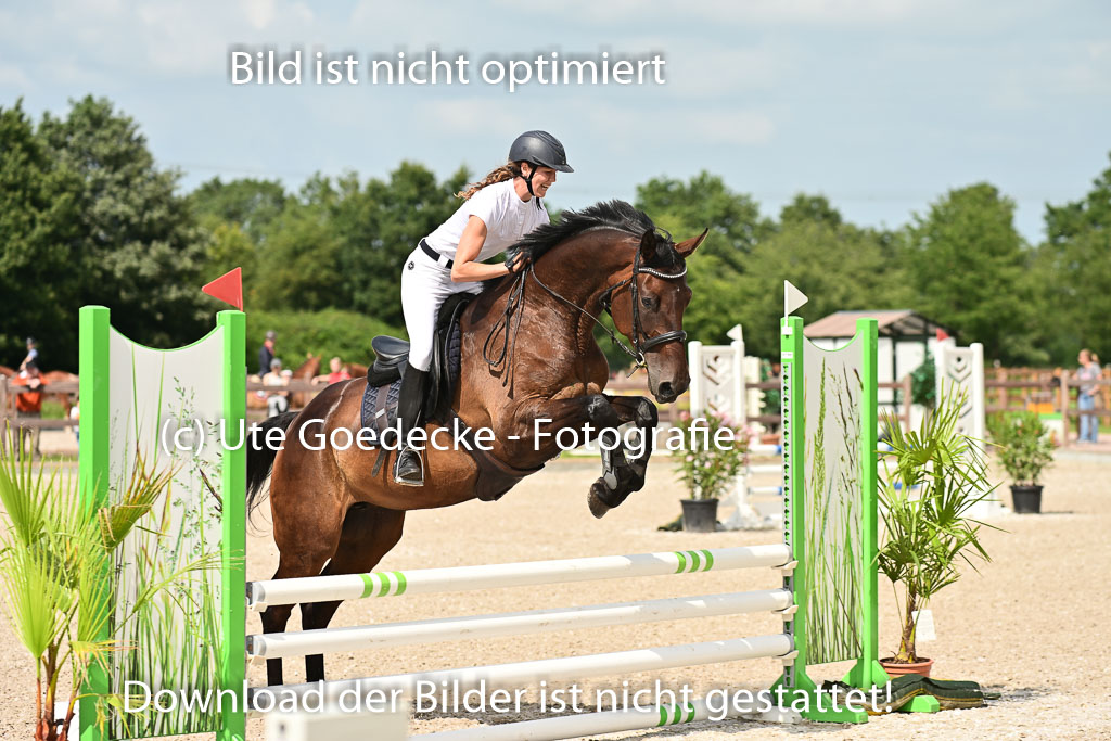 Klein Offenseth  - Hengststation Hell | 26072025 Spring WB  _012 