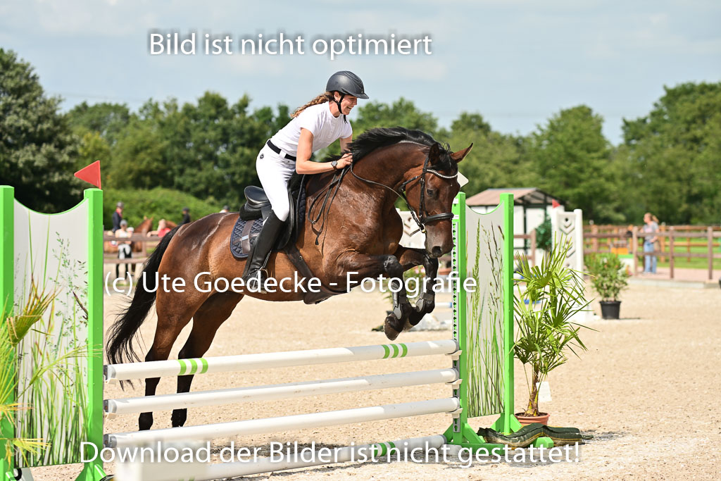 Klein Offenseth  - Hengststation Hell | 26072025 Spring WB  _013 