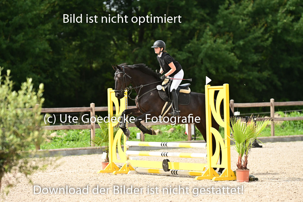 Klein Offenseth  - Hengststation Hell | 26072025 Spring WB  _014 
