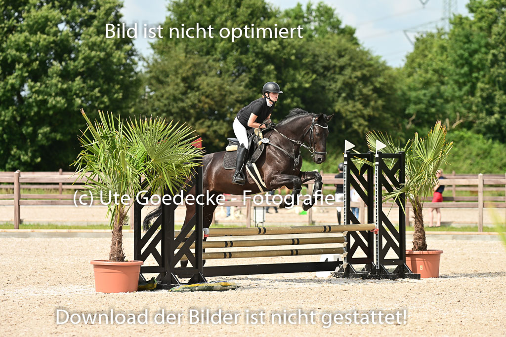 Klein Offenseth  - Hengststation Hell | 26072025 Spring WB  _016 