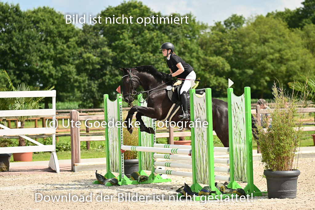 Klein Offenseth  - Hengststation Hell | 26072025 Spring WB  _018 