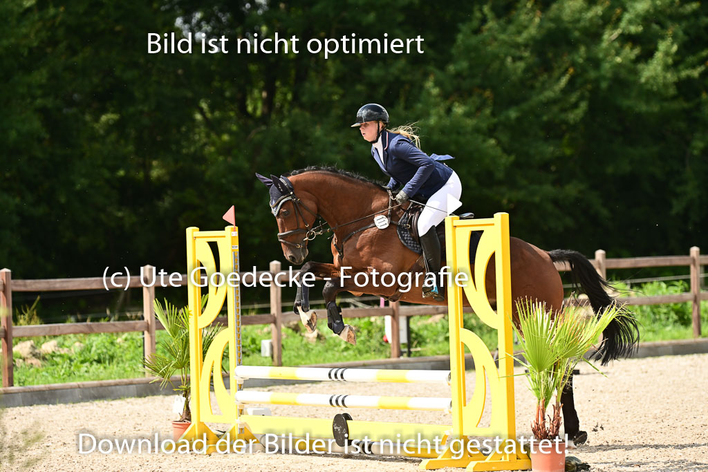Klein Offenseth  - Hengststation Hell | 26072025 Spring WB  _021 