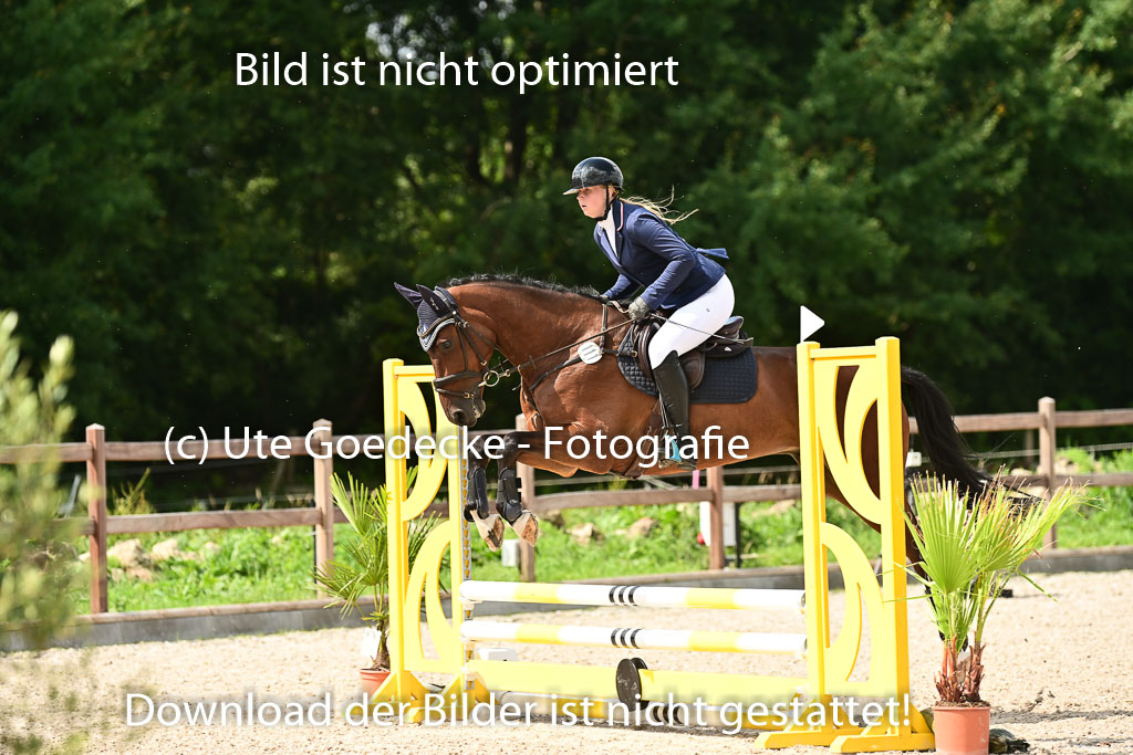 Klein Offenseth  - Hengststation Hell | 26072025 Spring WB  _022 