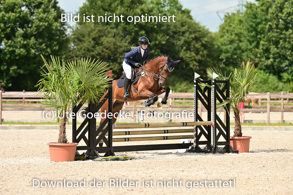 Klein Offenseth - Hengststation Hell | 26072025 Spring WB _023