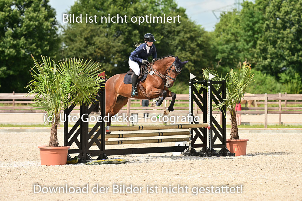 Klein Offenseth  - Hengststation Hell | 26072025 Spring WB  _024 