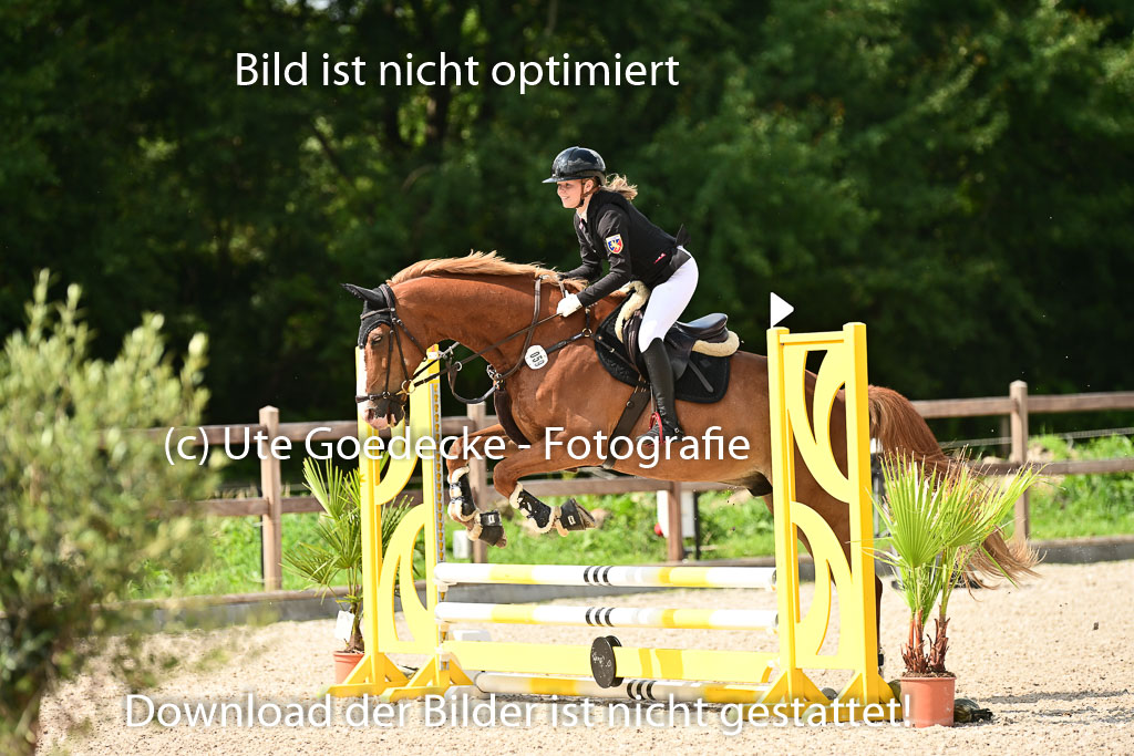 Klein Offenseth  - Hengststation Hell | 26072025 Spring WB  _029 