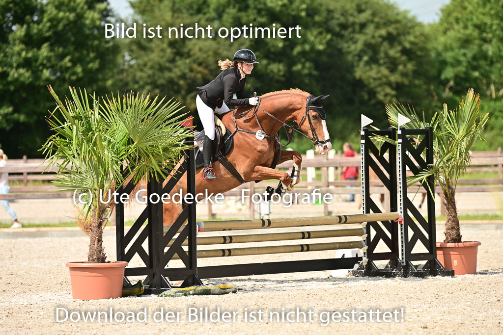 Klein Offenseth  - Hengststation Hell | 26072025 Spring WB  _032 