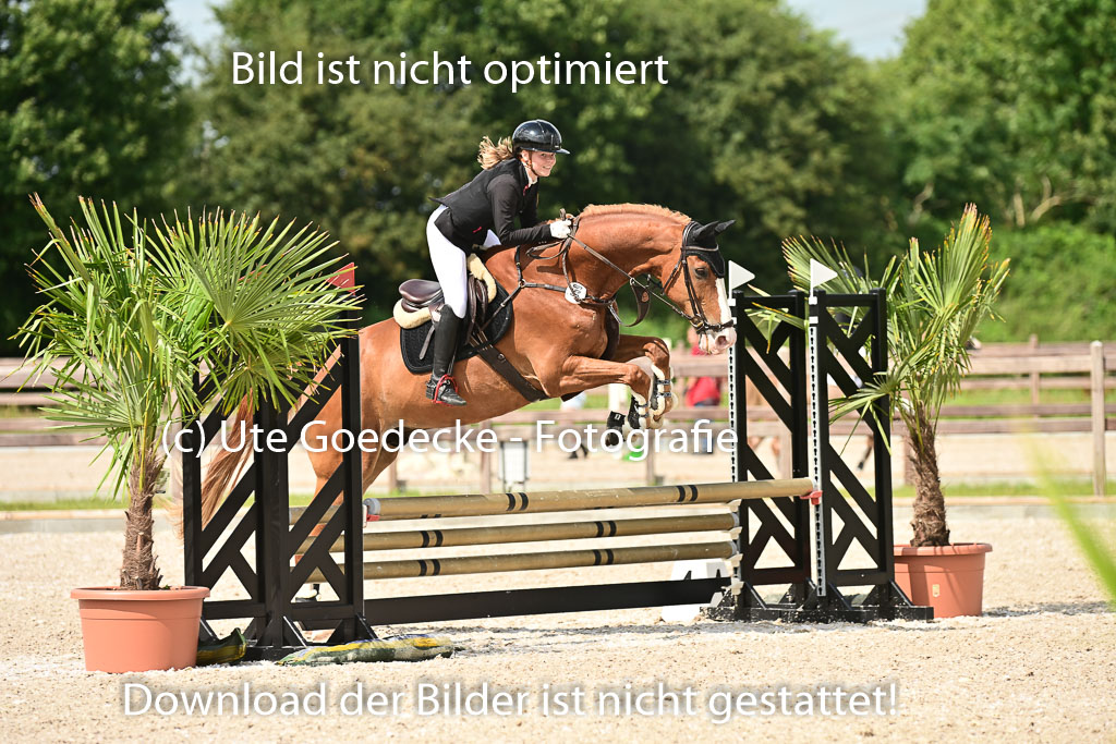 Klein Offenseth  - Hengststation Hell | 26072025 Spring WB  _033 