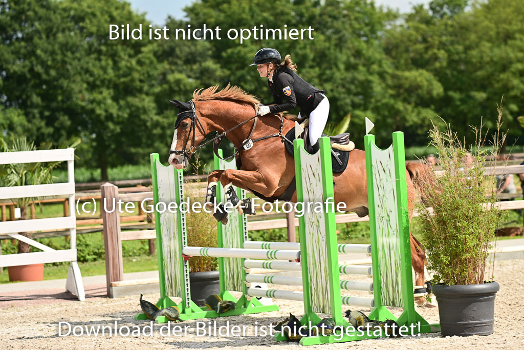 Klein Offenseth  - Hengststation Hell | 26072025 Spring WB  _036 