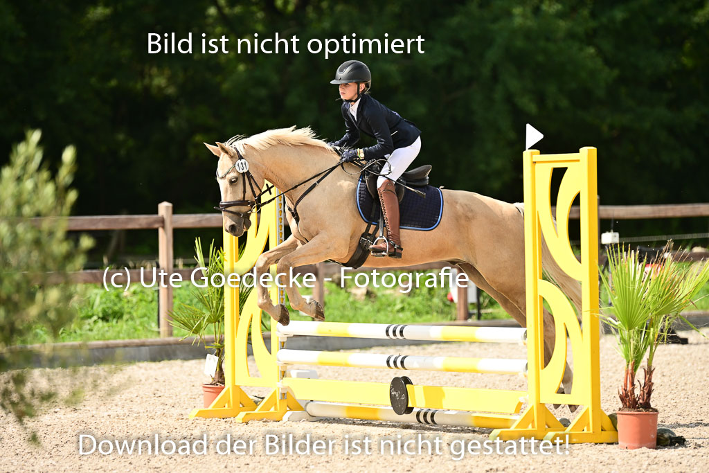 Klein Offenseth  - Hengststation Hell | 26072025 Spring WB  _040 