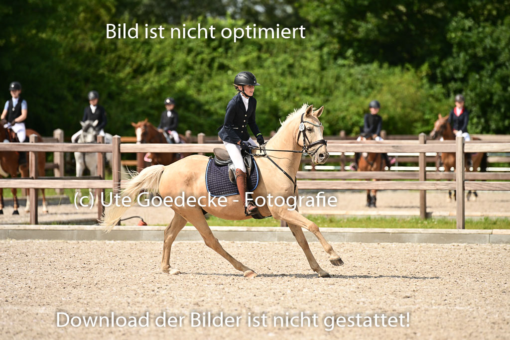 Klein Offenseth  - Hengststation Hell | 26072025 Spring WB  _042 
