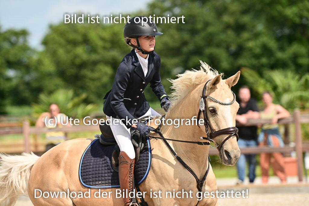 Klein Offenseth  - Hengststation Hell | 26072025 Spring WB  _044 
