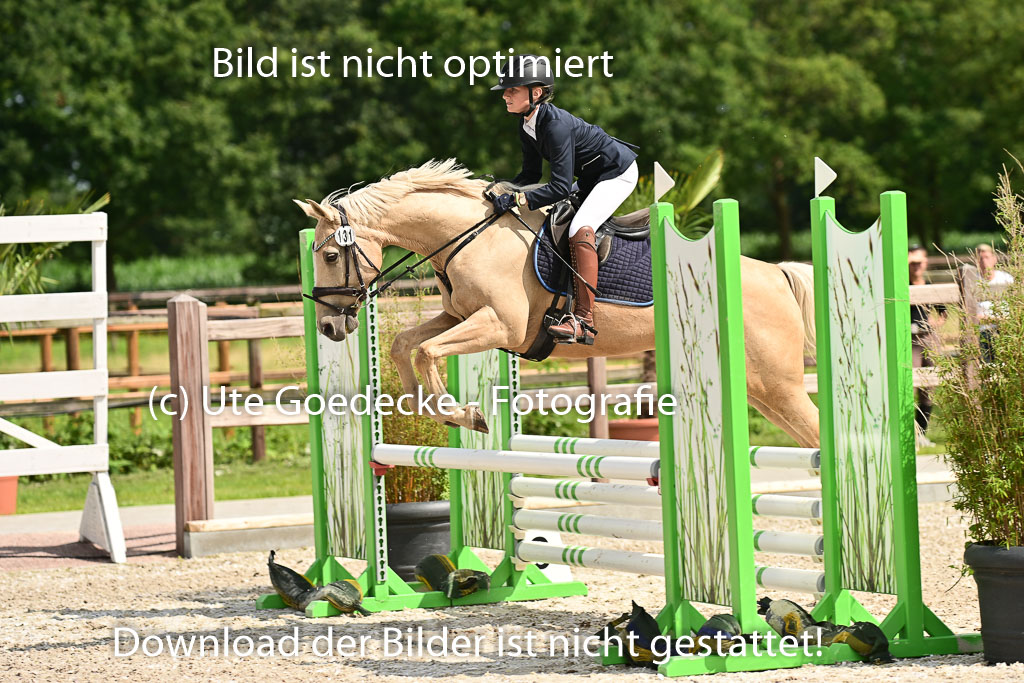 Klein Offenseth - Hengststation Hell | 26072025 Spring WB _045