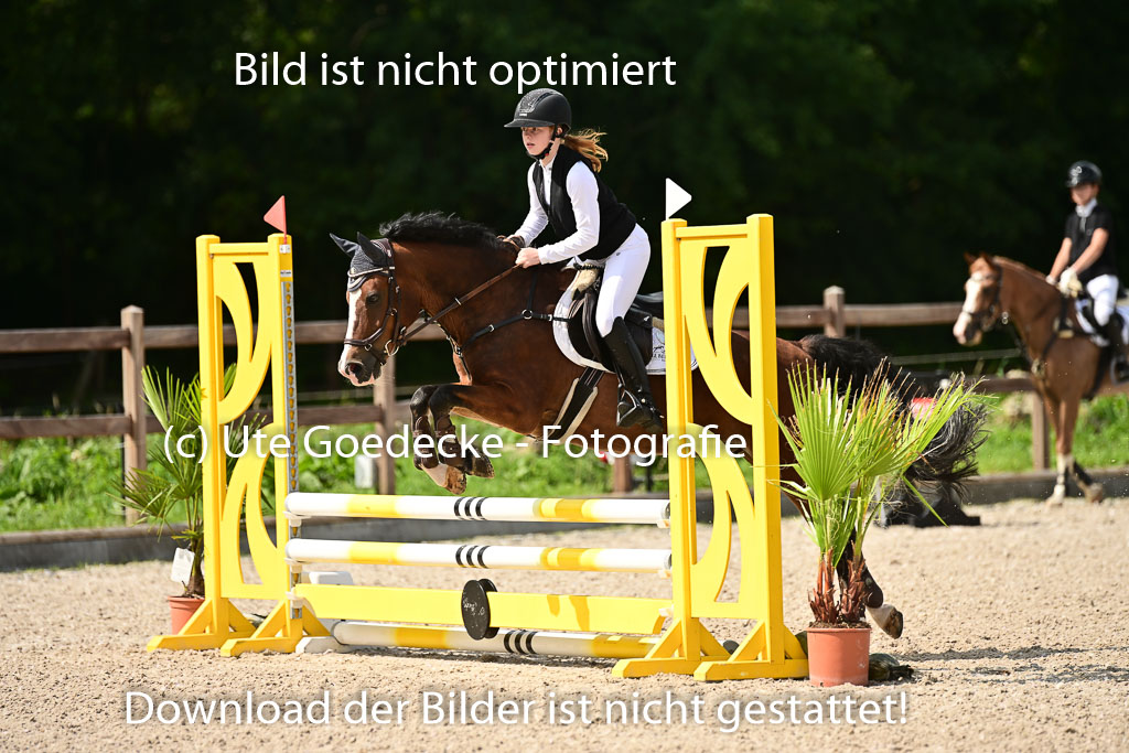 Klein Offenseth  - Hengststation Hell | 26072025 Spring WB  _047 