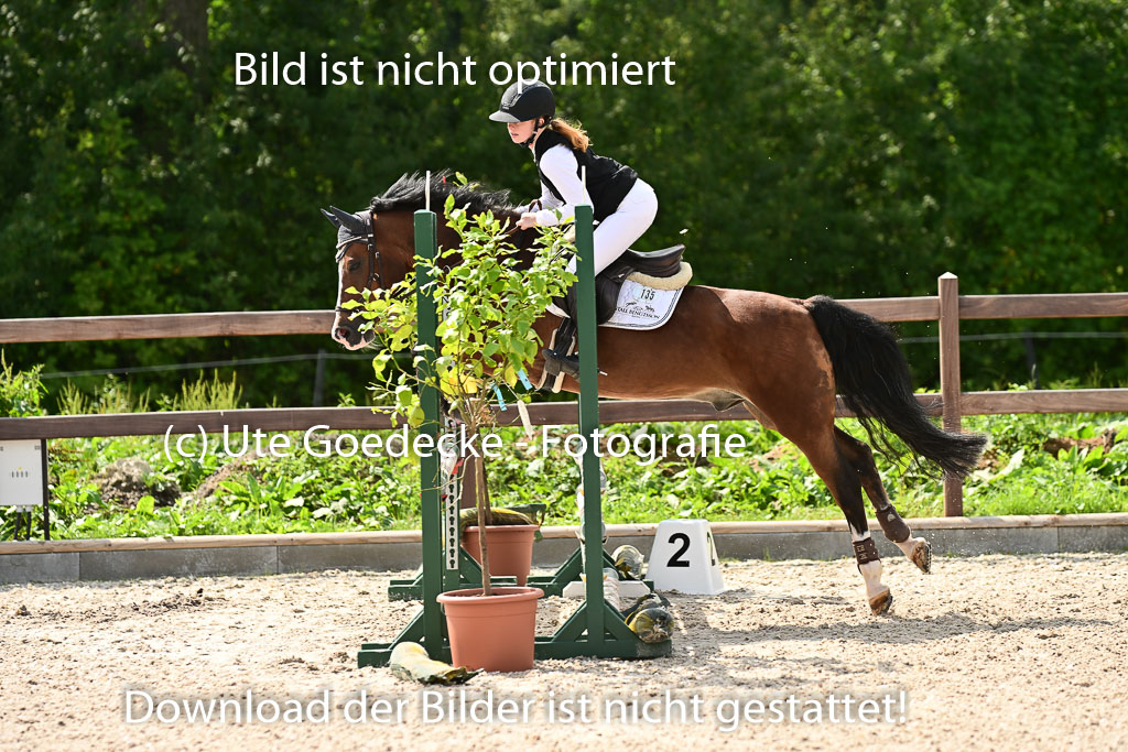 Klein Offenseth  - Hengststation Hell | 26072025 Spring WB  _048 