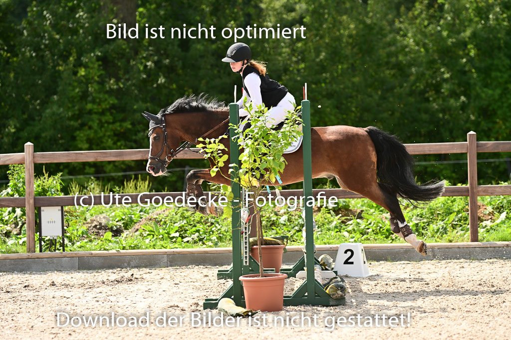 Klein Offenseth  - Hengststation Hell | 26072025 Spring WB  _049 