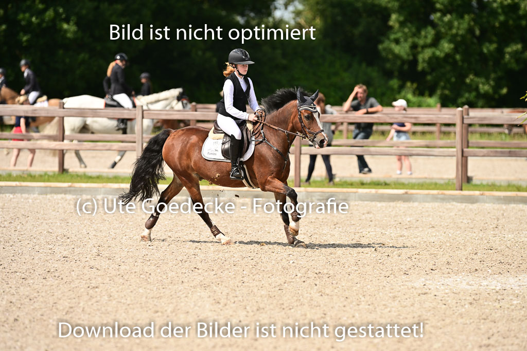 Klein Offenseth  - Hengststation Hell | 26072025 Spring WB  _050 