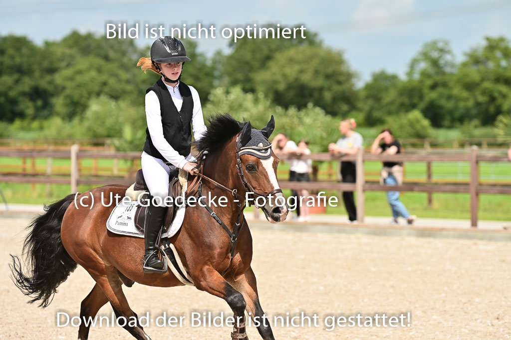 Klein Offenseth - Hengststation Hell | 26072025 Spring WB _052