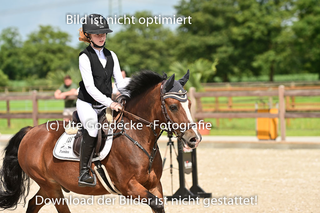 Klein Offenseth  - Hengststation Hell | 26072025 Spring WB  _053 