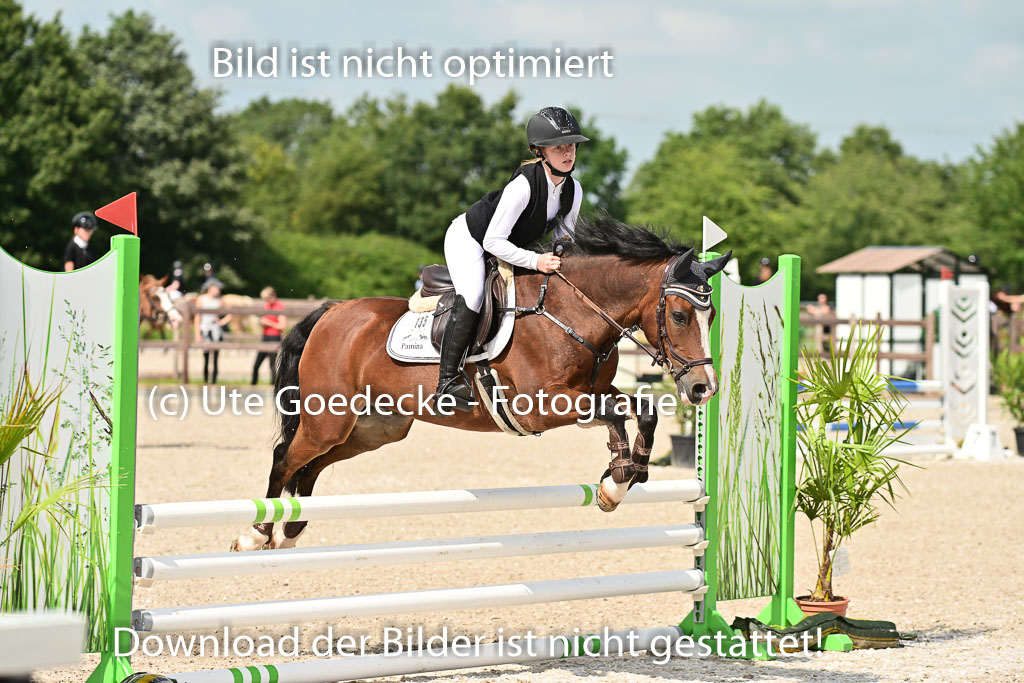 Klein Offenseth  - Hengststation Hell | 26072025 Spring WB  _055 