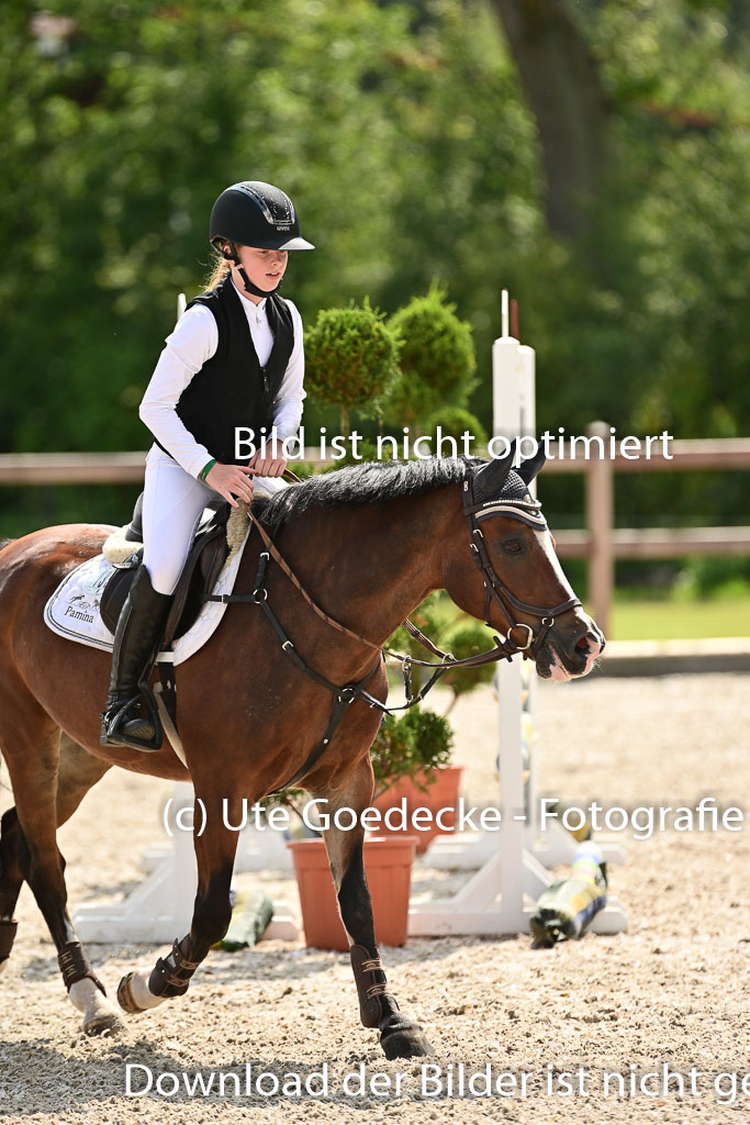 Klein Offenseth  - Hengststation Hell | 26072025 Spring WB  _057 