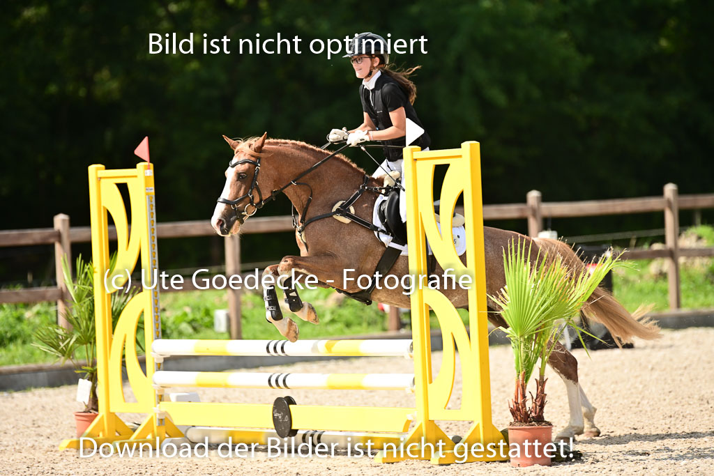 Klein Offenseth  - Hengststation Hell | 26072025 Spring WB  _059 