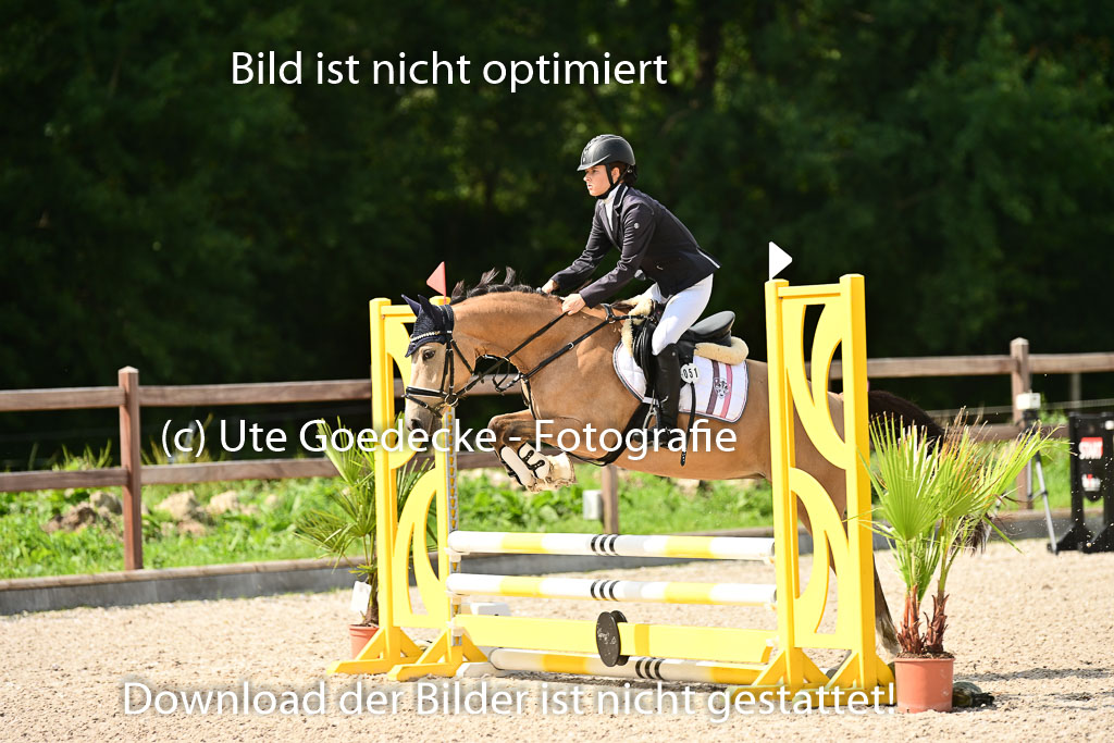 Klein Offenseth  - Hengststation Hell | 26072025 Spring WB  _060 