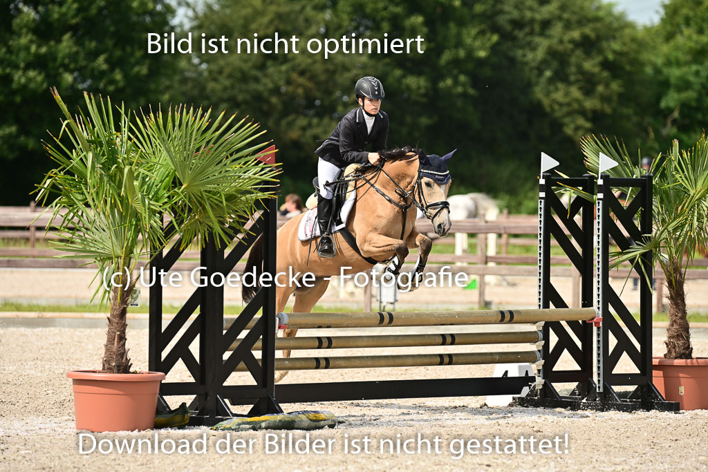 Klein Offenseth - Hengststation Hell | 26072025 Spring WB _063