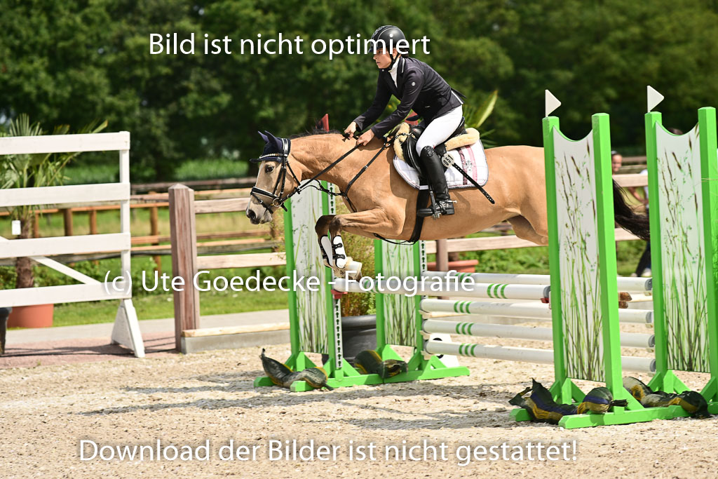 Klein Offenseth  - Hengststation Hell | 26072025 Spring WB  _066 