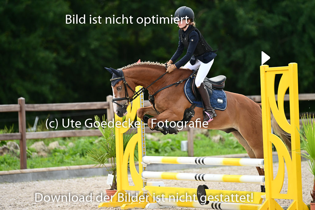 Klein Offenseth - Hengststation Hell | 26072025 Spring WB _069
