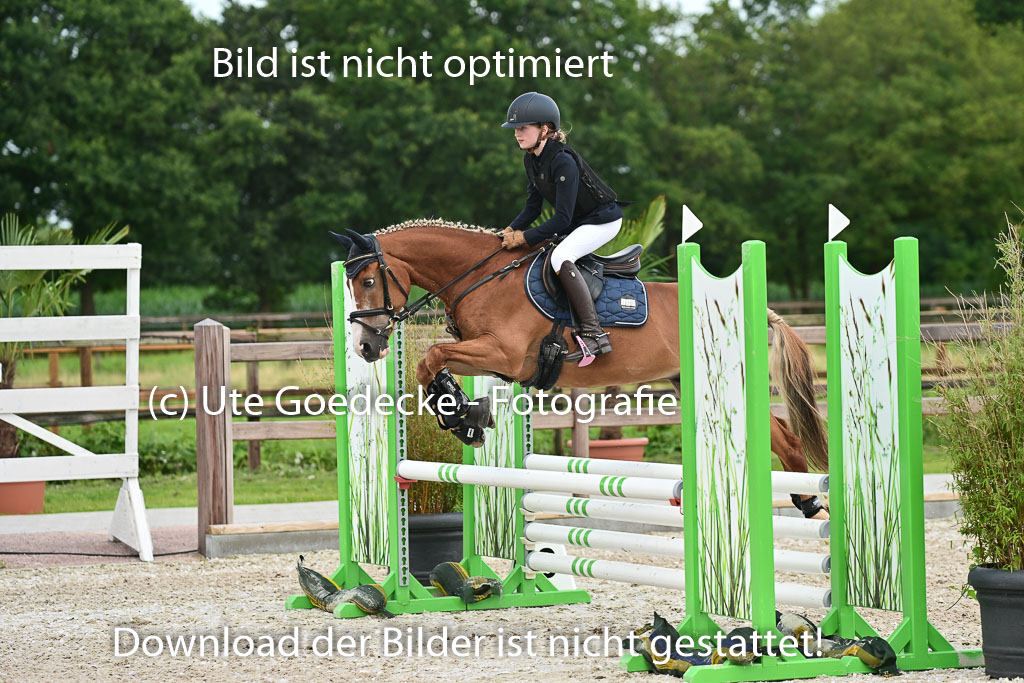 Klein Offenseth  - Hengststation Hell | 26072025 Spring WB  _075 