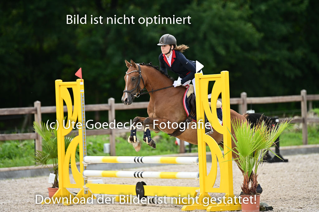 Klein Offenseth  - Hengststation Hell | 26072025 Spring WB  _083 