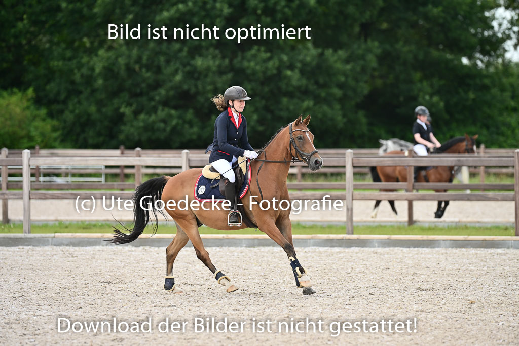 Klein Offenseth - Hengststation Hell | 26072025 Spring WB _084