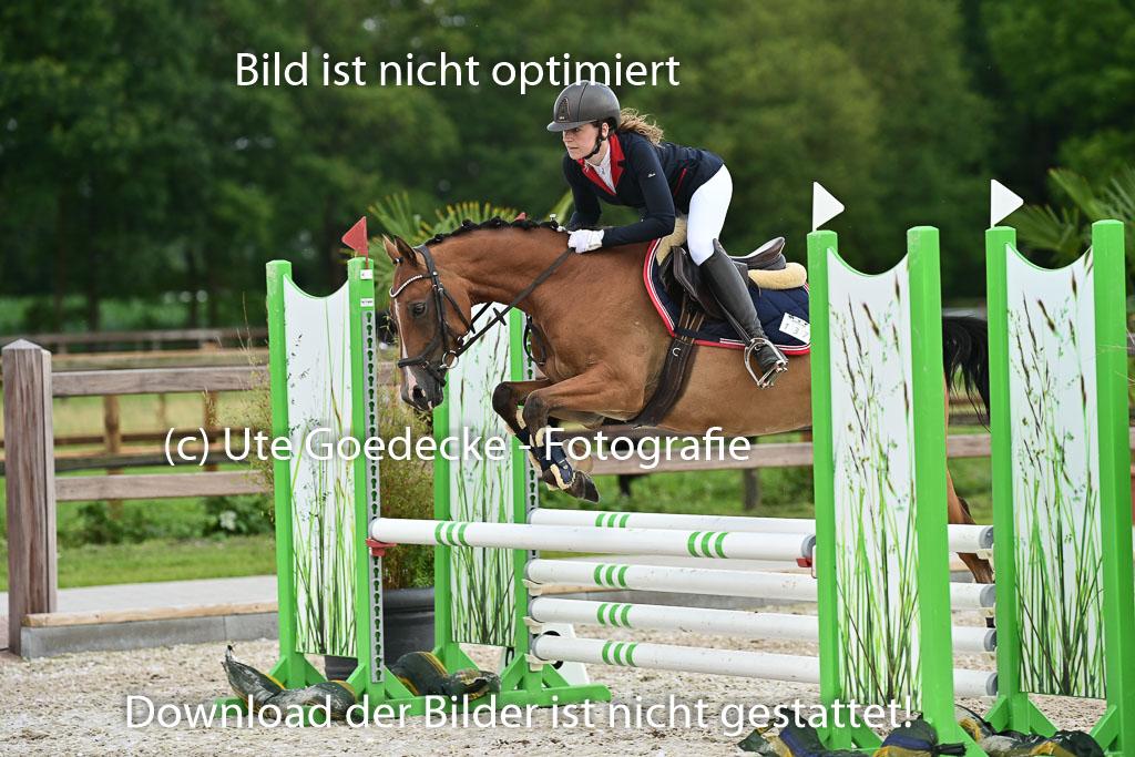 Klein Offenseth - Hengststation Hell | 26072025 Spring WB _088