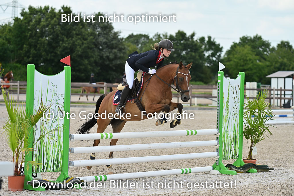Klein Offenseth  - Hengststation Hell | 26072025 Spring WB  _089 