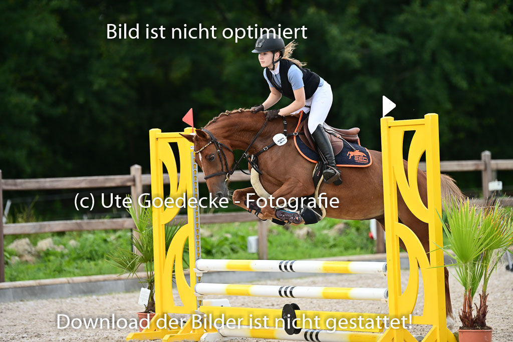 Klein Offenseth  - Hengststation Hell | 26072025 Spring WB  _091 